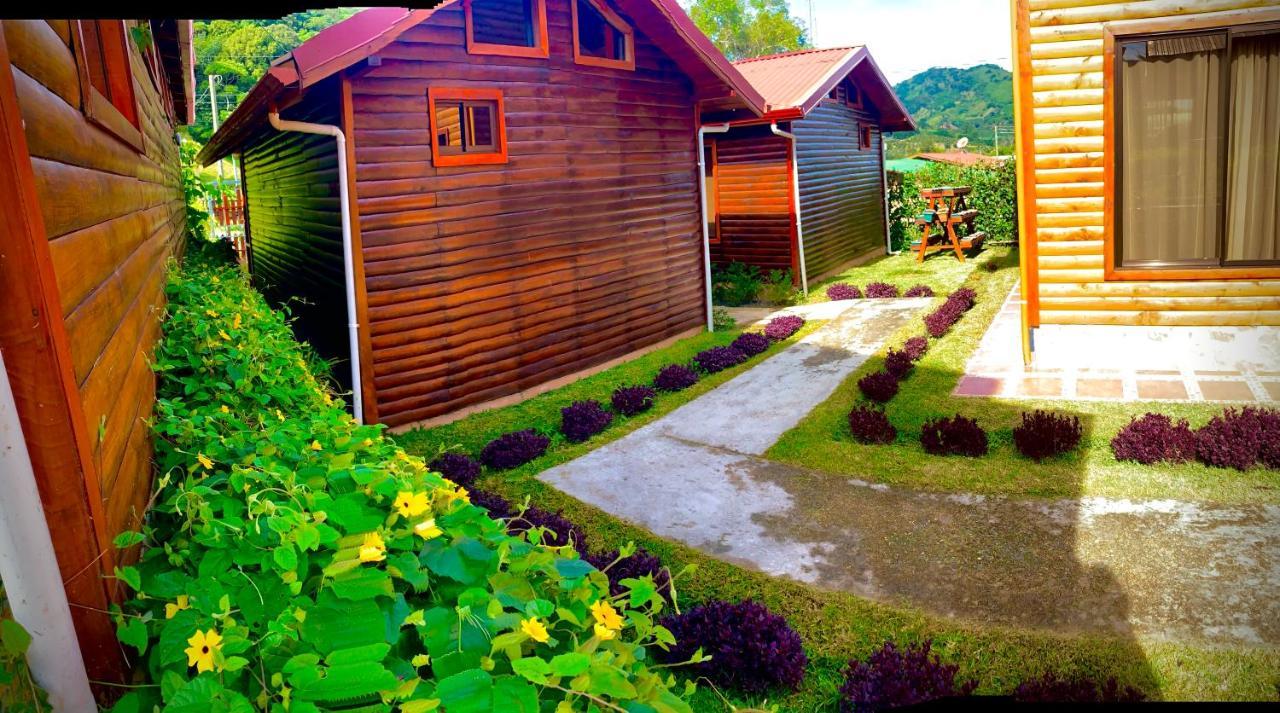 Clusia Lodge Copey Extérieur photo